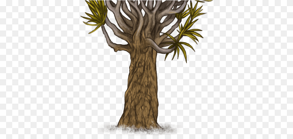 Pond Pine, Plant, Tree, Tree Trunk, Cross Free Png