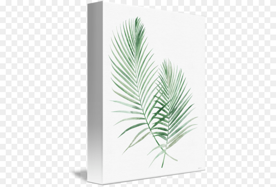 Pond Pine, Plant, Art, Potted Plant Png Image