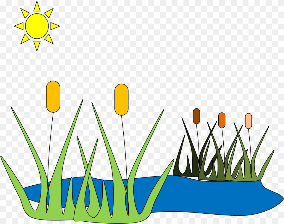 Pond Transparent Cartoon Black And White Download Pond Clip Art, Grass, Plant, Daffodil, Flower Png Image