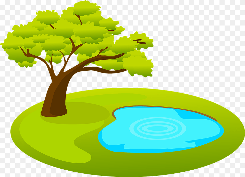 Pond Tree Water Cartoon Clipart Pond, Plant, Outdoors, Nature, Oak Png