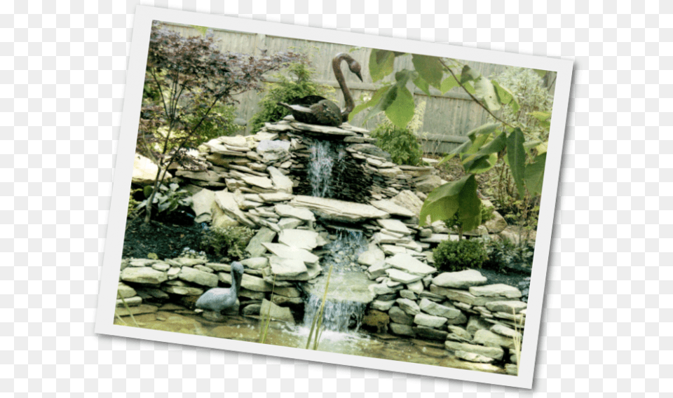 Ponds And Water Gardens Barrington Waterfall Garden, Nature, Outdoors, Pond, Rock Png Image