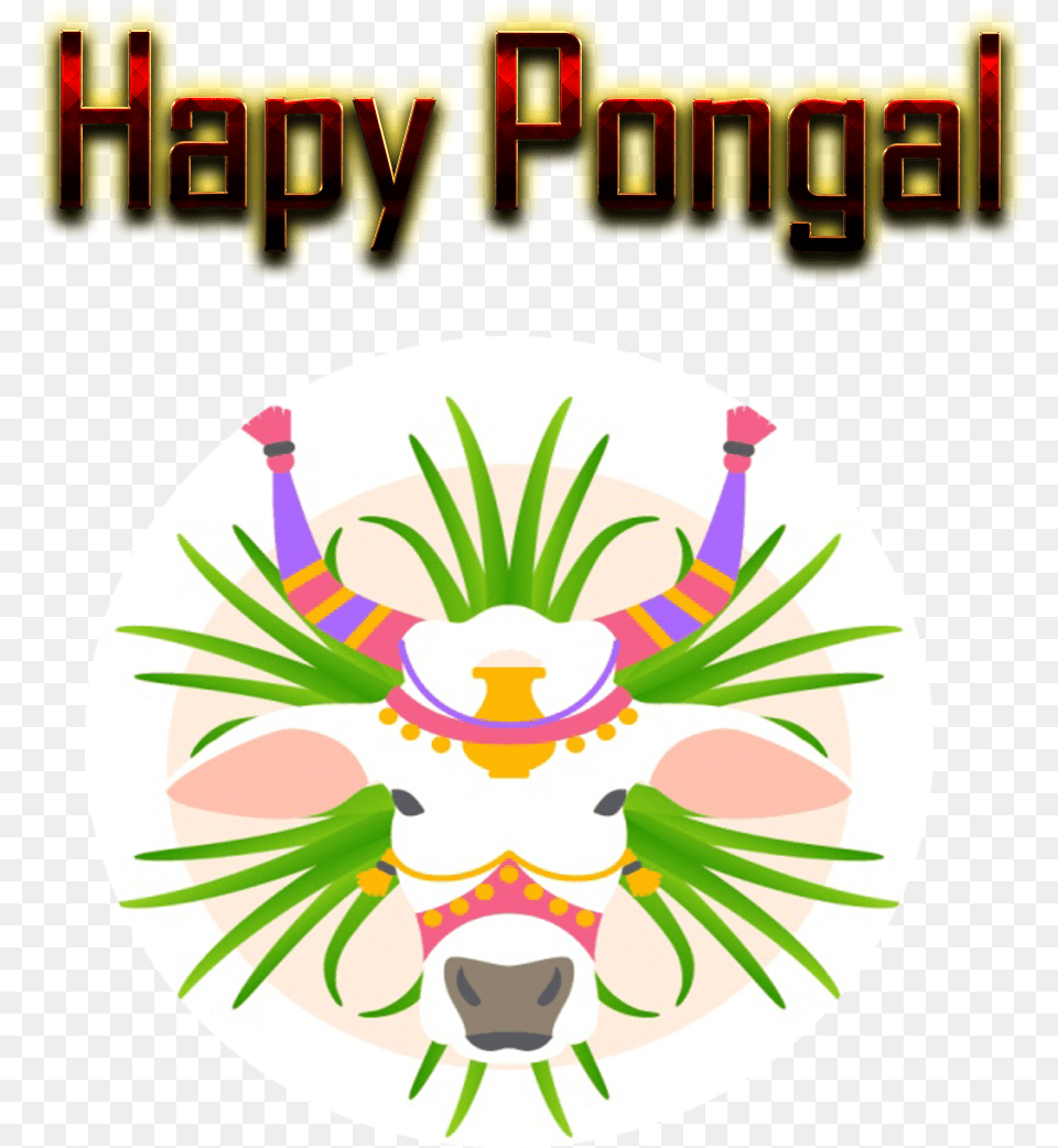 Pongal Background Pongal Offer File, Animal, Cattle, Livestock, Mammal Png