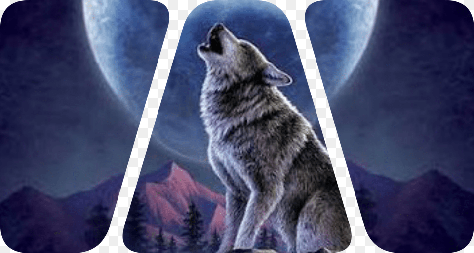 Ponl Baner Wolf Howling At Moon 3d Art, Animal, Mammal, Coyote, Kangaroo Png