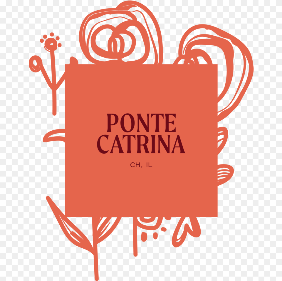 Ponte Catrina Illustration, Person, Text Png