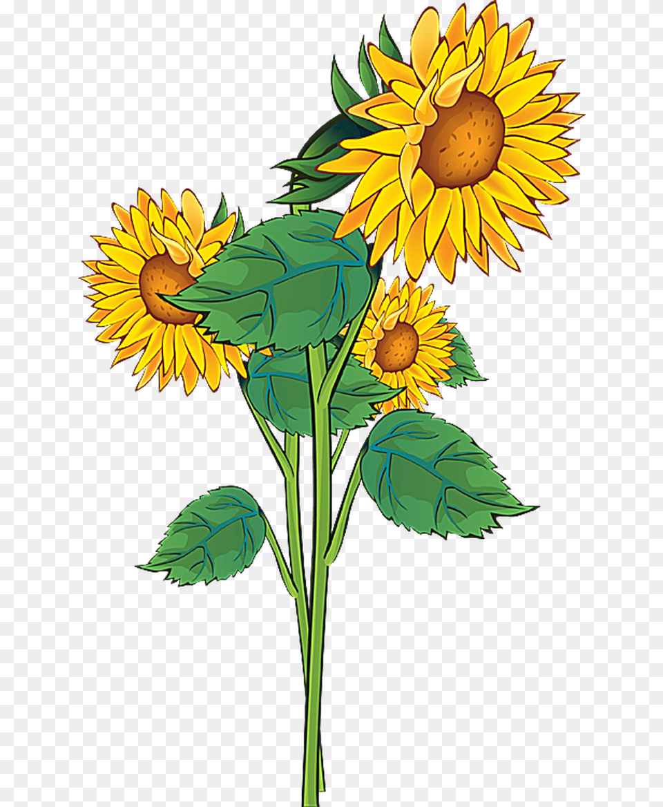 Pontiacs Rebellion An Overview Beadwork Flower, Plant, Sunflower Png