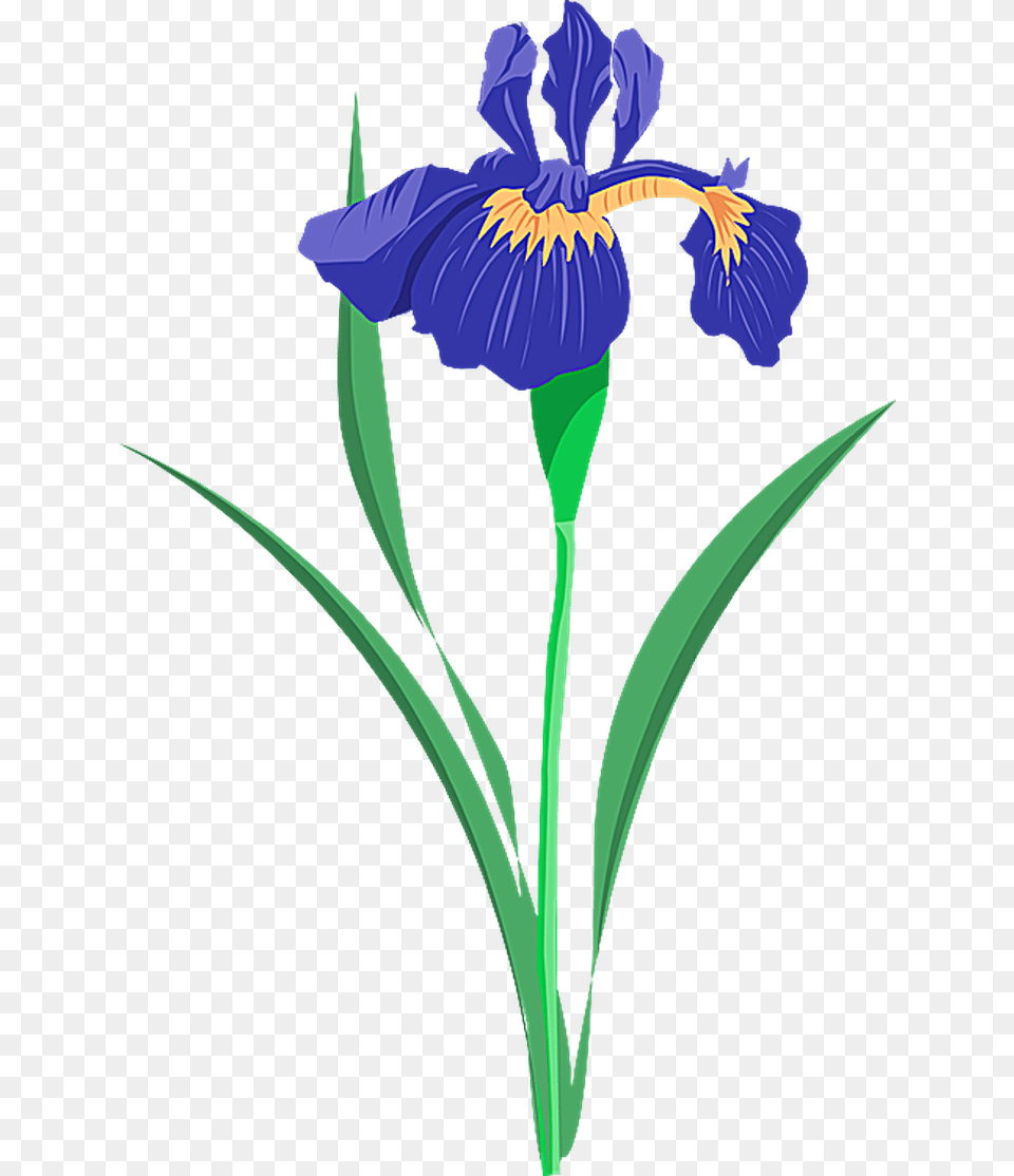 Pontiacs Rebellion An Overview In Spring Weddings, Flower, Iris, Plant, Petal Free Png