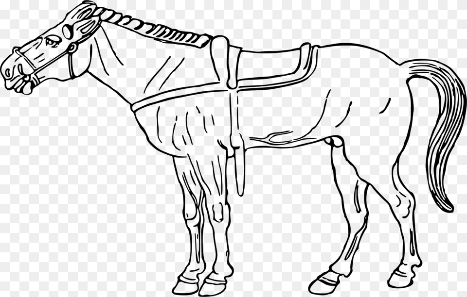 Pony Drawing Arabian Horse Coloring Book Horse Head Dibujo Imagenes De Caballos, Gray Free Png Download