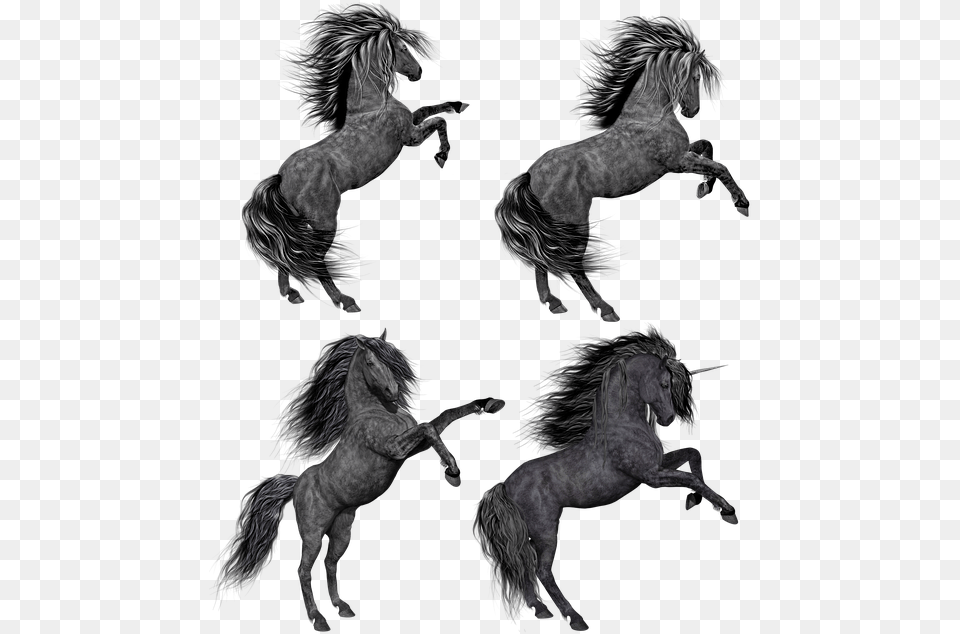 Pony Horse Unicorn Mare Stallion Rear Rearing Syair Hk 2 Agustus 2018, Art, Andalusian Horse, Animal, Mammal Png Image