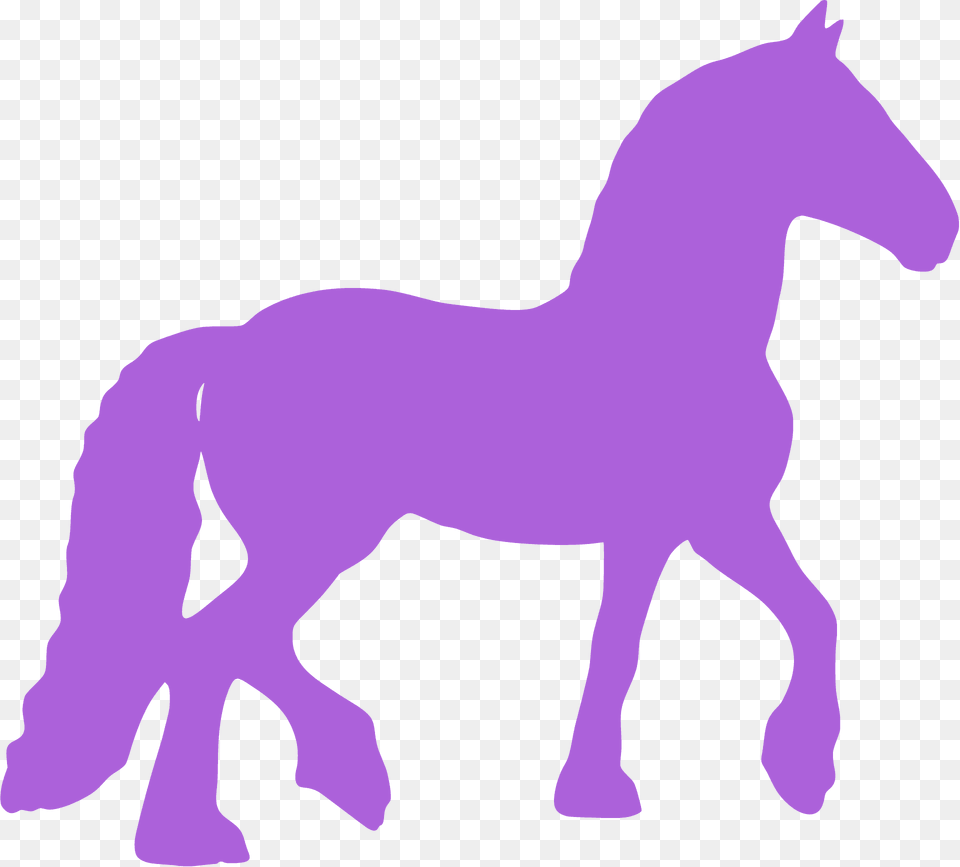 Pony Silhouette, Animal, Colt Horse, Horse, Mammal Png