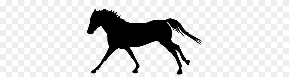 Pony Silhouette Clipart, Gray Free Transparent Png