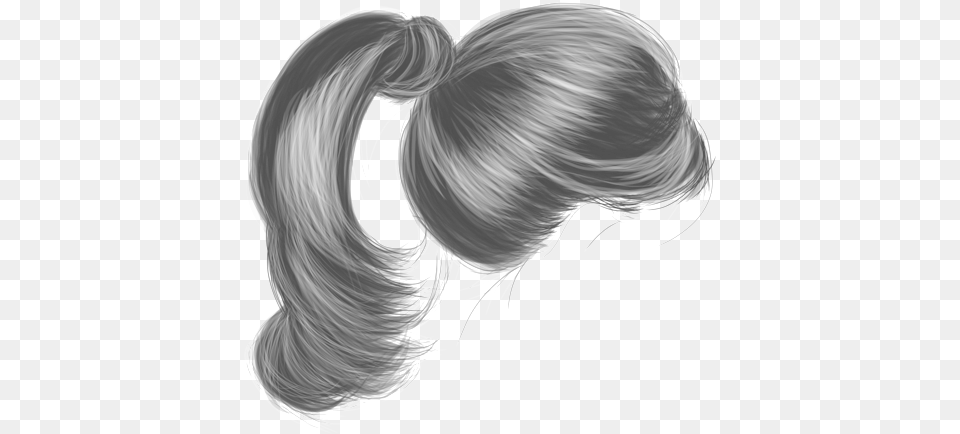 Ponytail Amp Ponytail Transparent Images Black Ponytail Hair, Person, Adult, Female, Woman Free Png Download