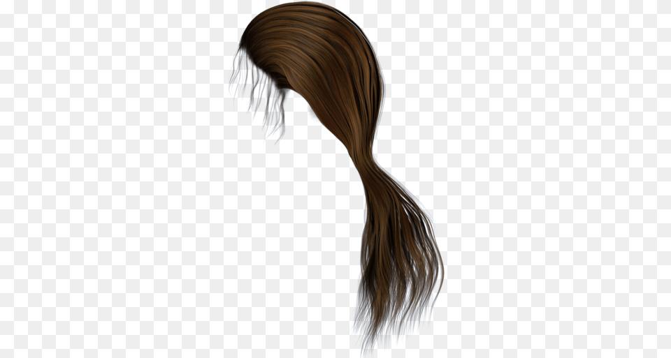 Ponytail Hair No Background, Adult, Female, Person, Woman Png