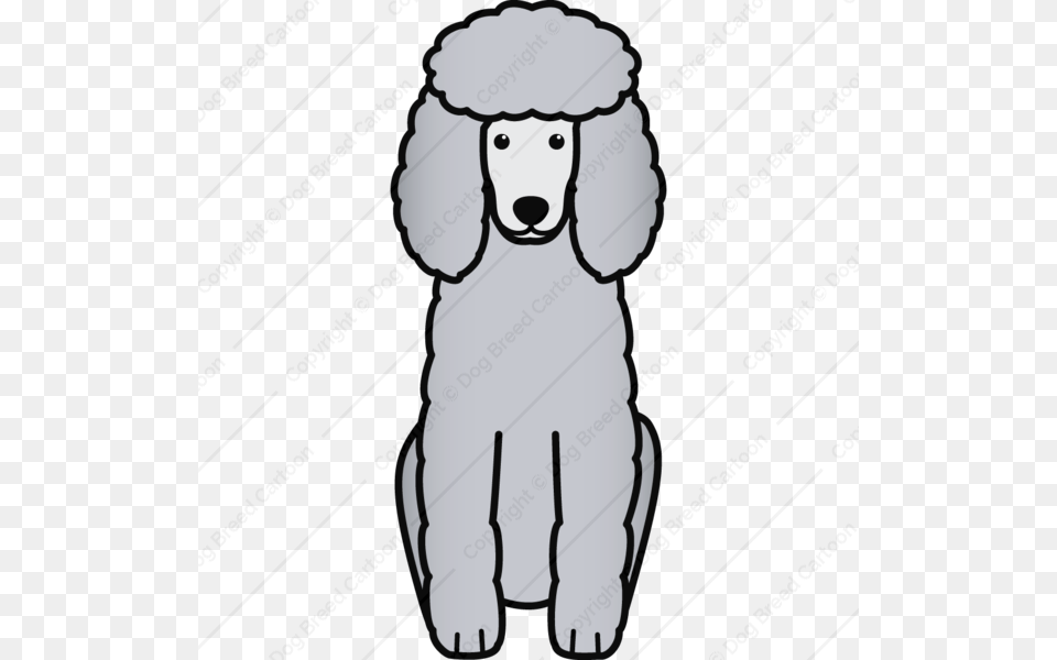 Poodle, Animal, Canine, Dog, Mammal Free Png