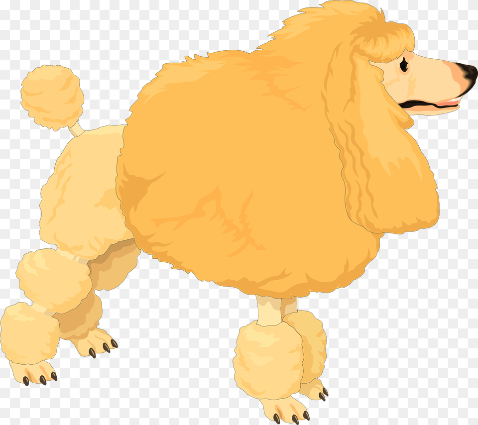 Poodle Clipart, Animal, Canine, Dog, Mammal Free Transparent Png
