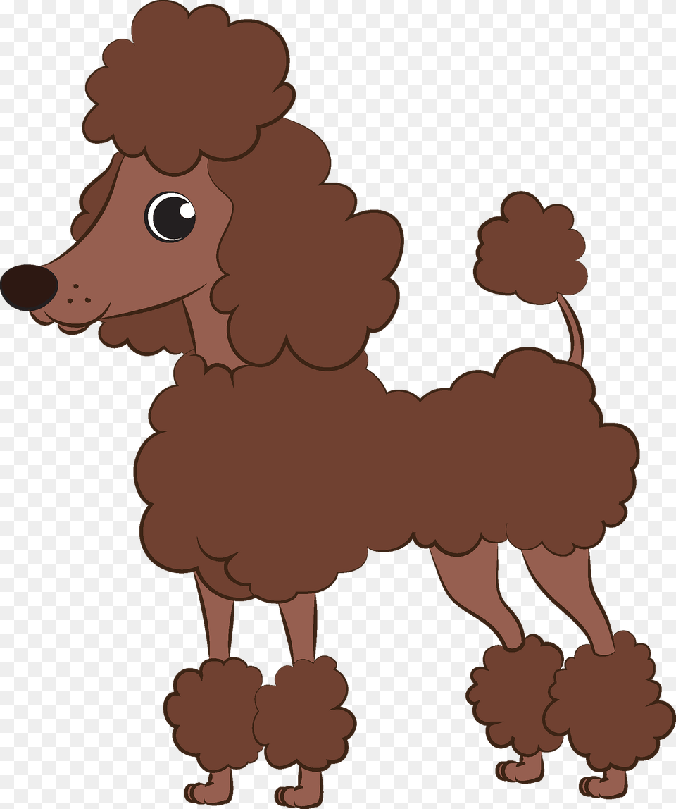 Poodle Clipart, Animal, Canine, Dog, Mammal Free Png