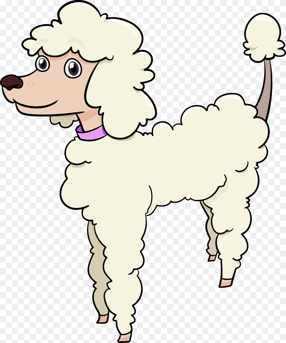 Poodle Clipart, Baby, Person, Head, Face Free Png