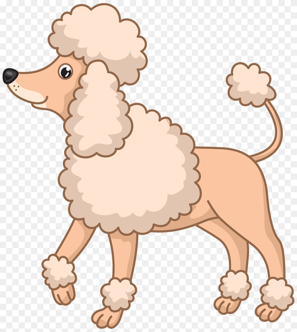 Poodle Clipart, Animal, Canine, Dog, Mammal Free Transparent Png