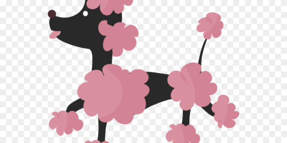 Poodle Clipart Standard Poodle Poodle, Flower, Plant, Petal, Cherry Blossom Png