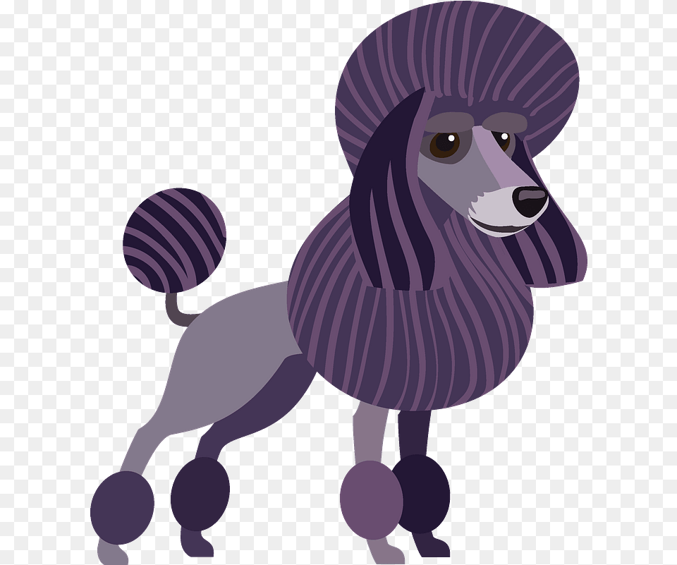 Poodle Dog Clipart Miniature Poodle, Animal, Pet, Mammal, Canine Free Png