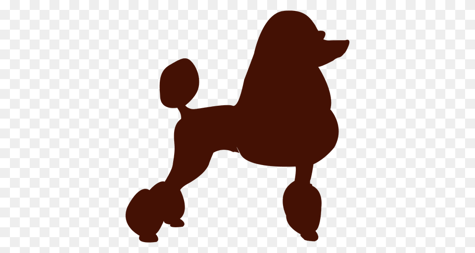 Poodle Dog Silhouette, Animal, Pet, Mammal, Canine Free Png