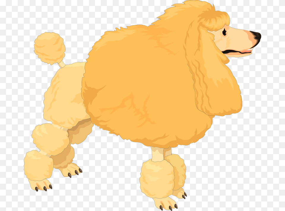 Poodle Dog Vector Dog Clip Art, Animal, Canine, Mammal, Pet Free Transparent Png