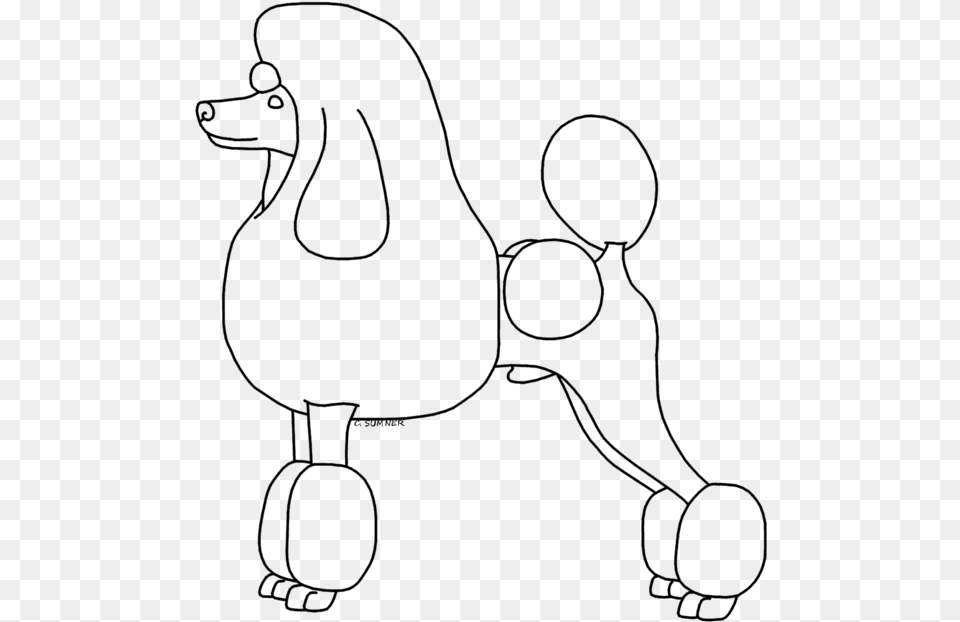 Poodle Drawing For Standard Poodle, Gray Free Png Download