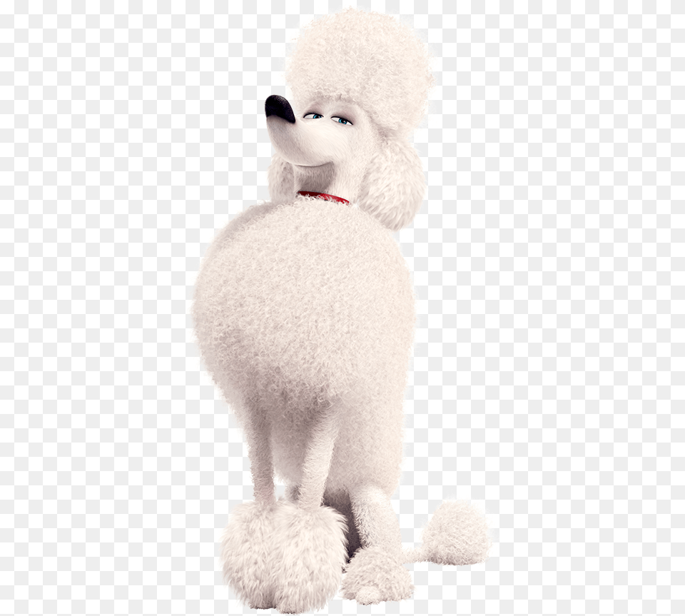 Poodle From Life Of Pets, Animal, Canine, Dog, Mammal Free Png