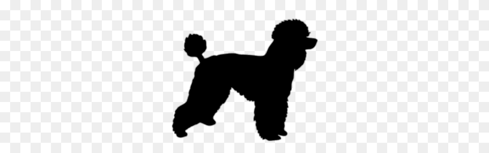 Poodle Silhouette, Animal, Canine, Dog, Mammal Free Png Download