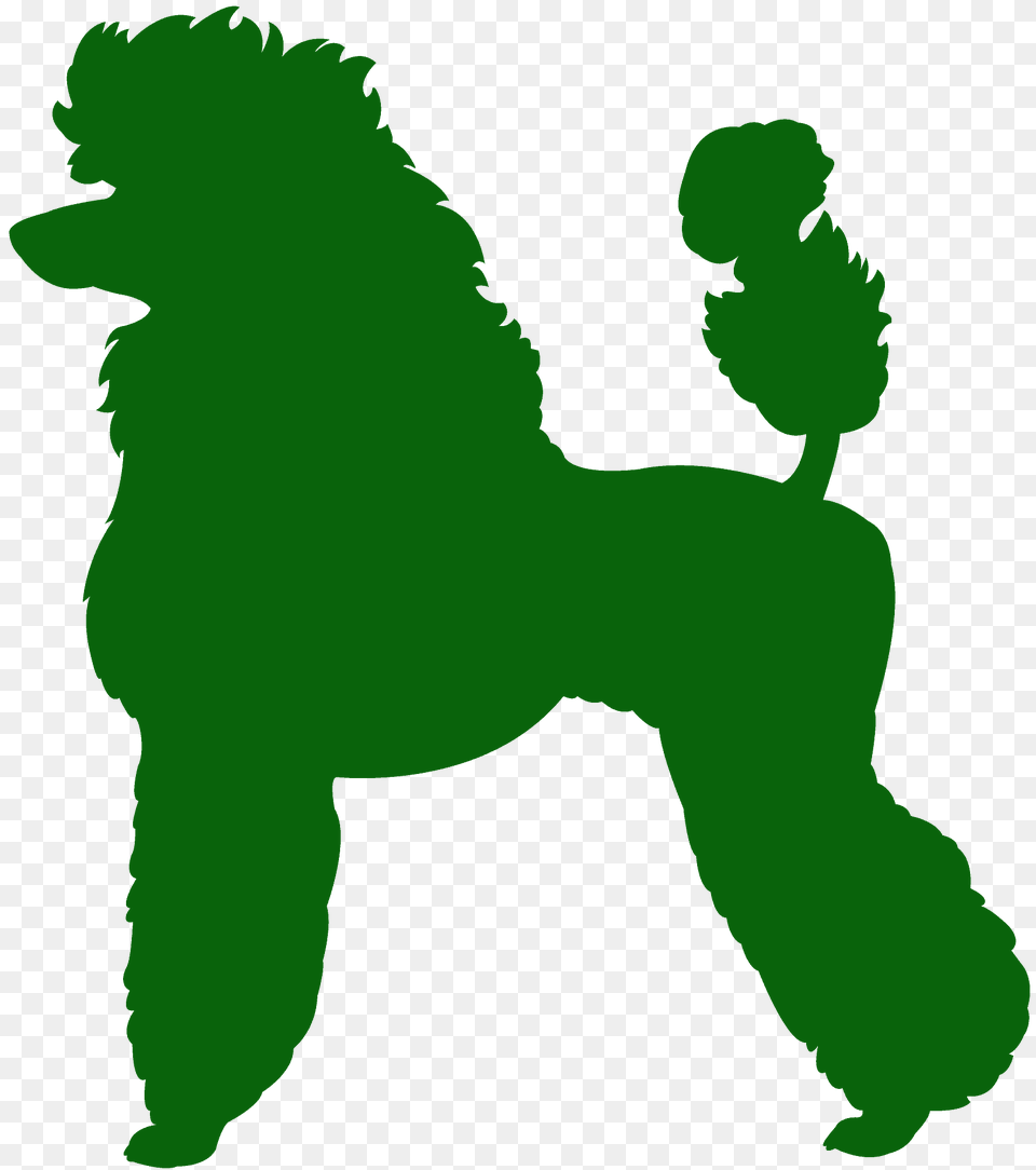 Poodle Silhouette, Animal, Canine, Dog, Mammal Free Png