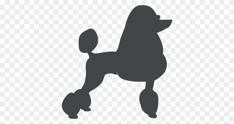 Poodle Silhouette Images Amazon Com Oval Full Sized Poodle, Animal, Canine, Dog, Mammal Free Png Download