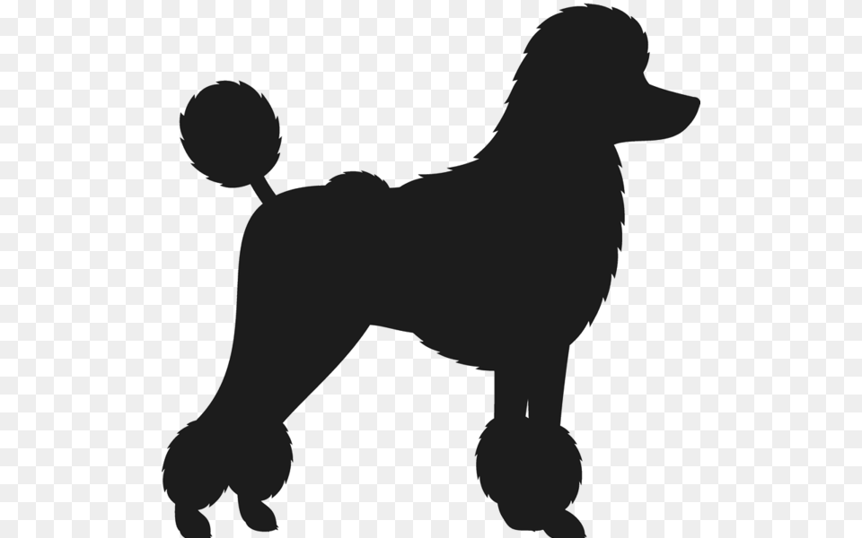 Poodle Stamp, Animal, Canine, Dog, Mammal Png Image