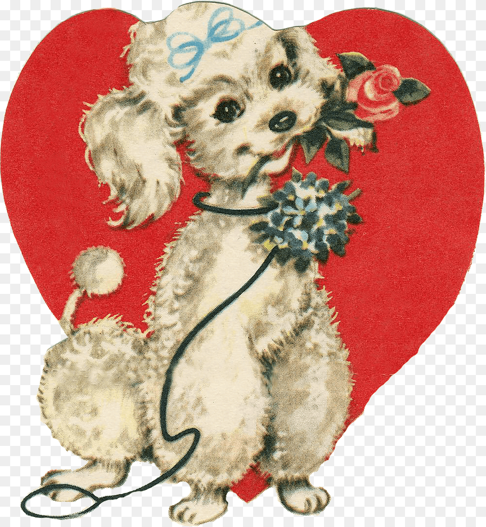 Poodle With Rose And Heart Clipart, Animal, Canine, Dog, Mammal Png