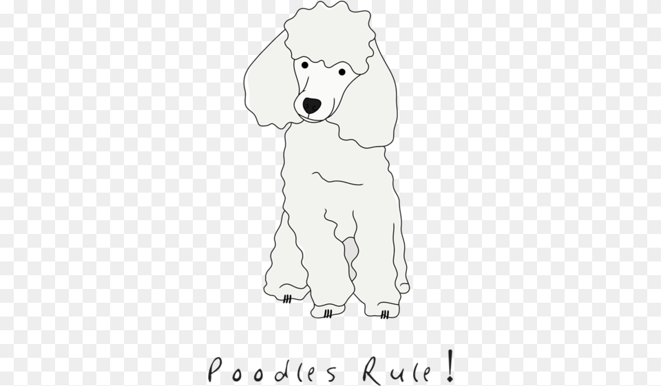 Poodles Drawing At Getdrawings Poodle Drawing, Animal, Bear, Mammal, Wildlife Free Png Download