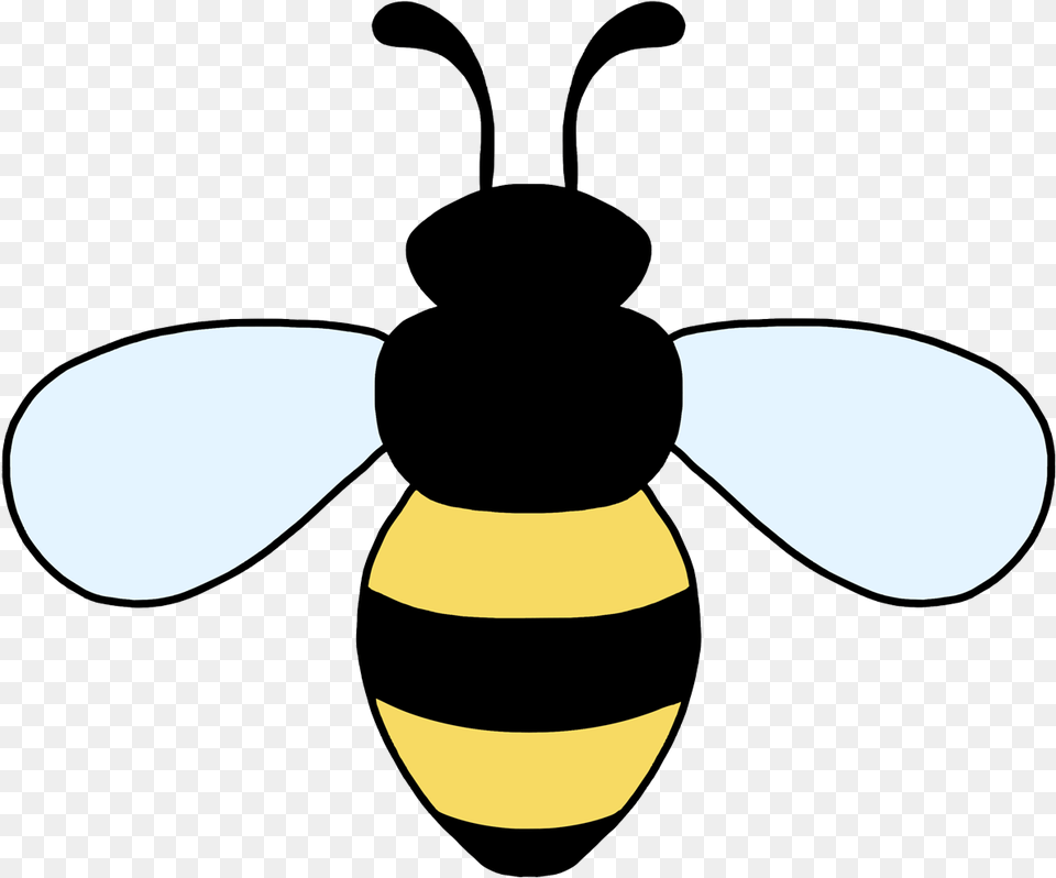 Pooh The Winnie Icon, Animal, Bee, Insect, Invertebrate Free Transparent Png