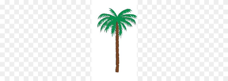 Pool Palm Tree, Plant, Tree, Animal Png
