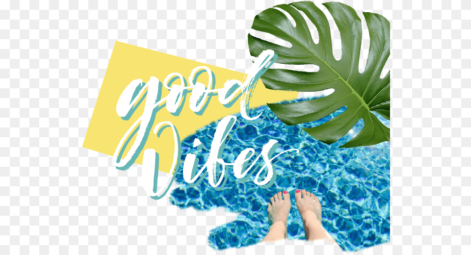 Pool Party, Barefoot, Person, Summer, Leaf Png Image