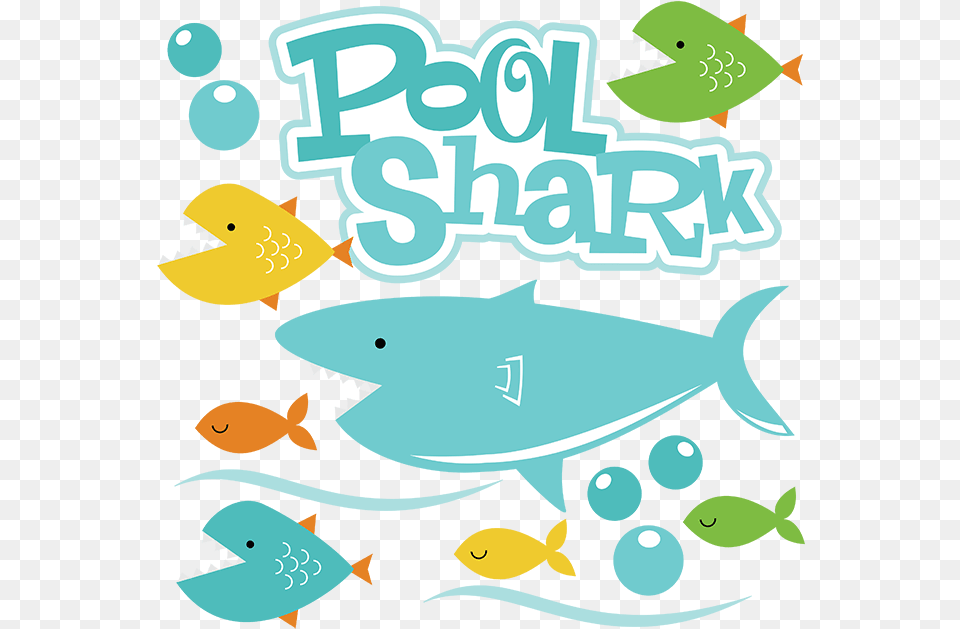 Pool Shark Svg Files For Scrapbooking Fish Svg File Fish Shark Clipart, Animal, Sea Life, Tuna Free Png