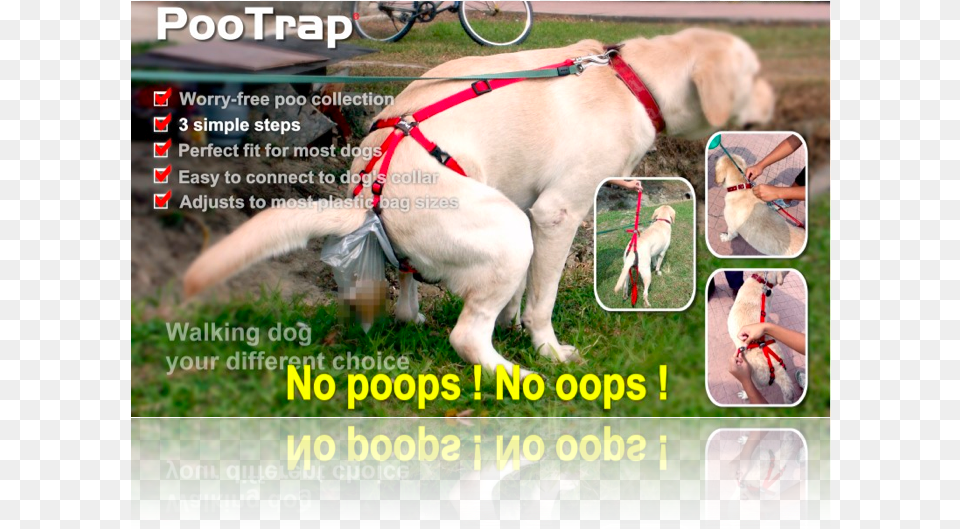 Pootrap For Dogs, Accessories, Strap, Transportation, Pet Free Png Download