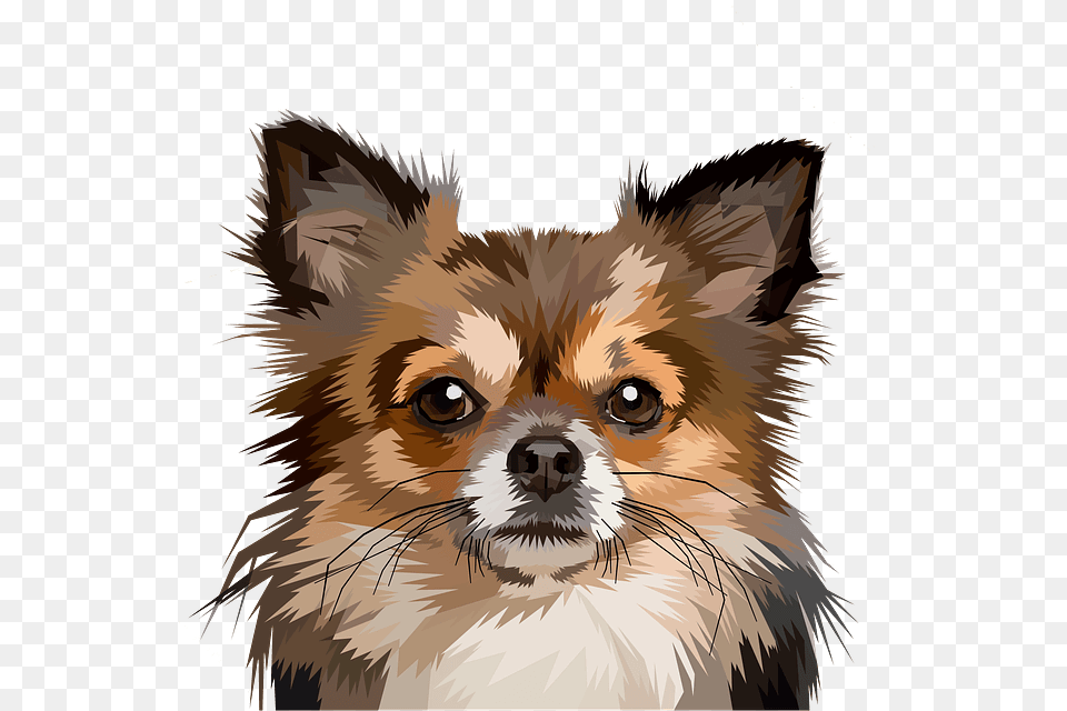 Pop Art Dog Chihuahua, Animal, Canine, Mammal, Pet Free Transparent Png