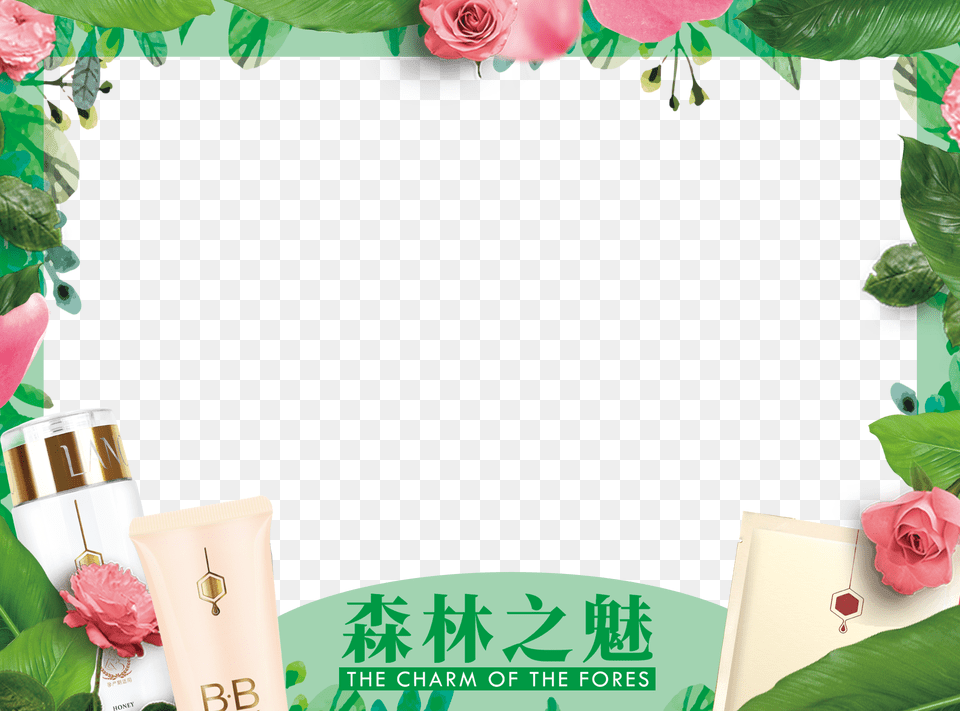 Pop Box Decorative Border Download, Flower, Plant, Rose, Art Free Transparent Png