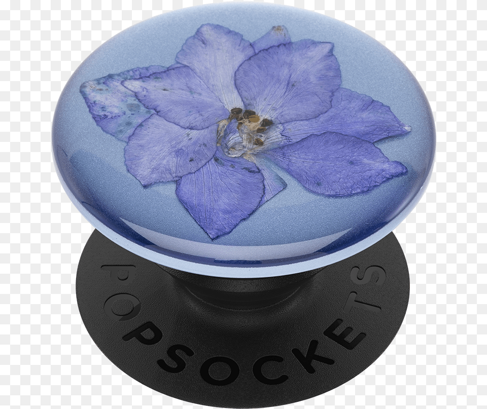 Pop Socket Pressed Flower, Art, Sphere, Pottery, Porcelain Free Png Download