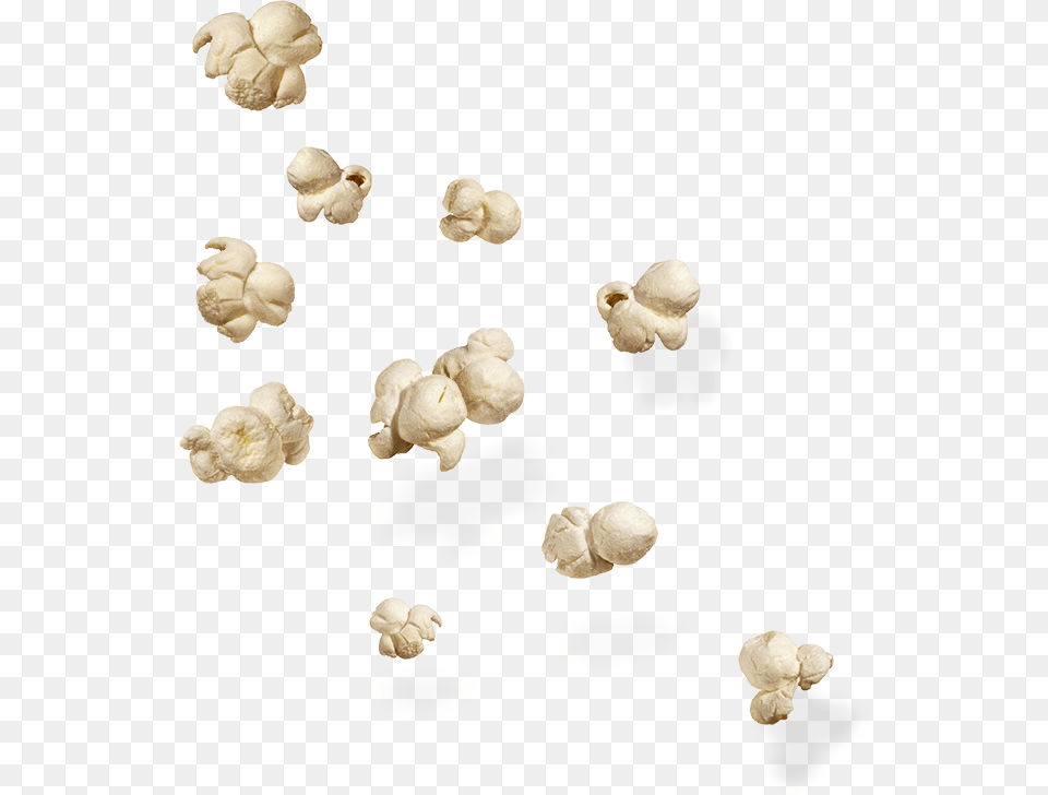 Popcorn, Food, Snack, Fungus, Plant Free Png Download