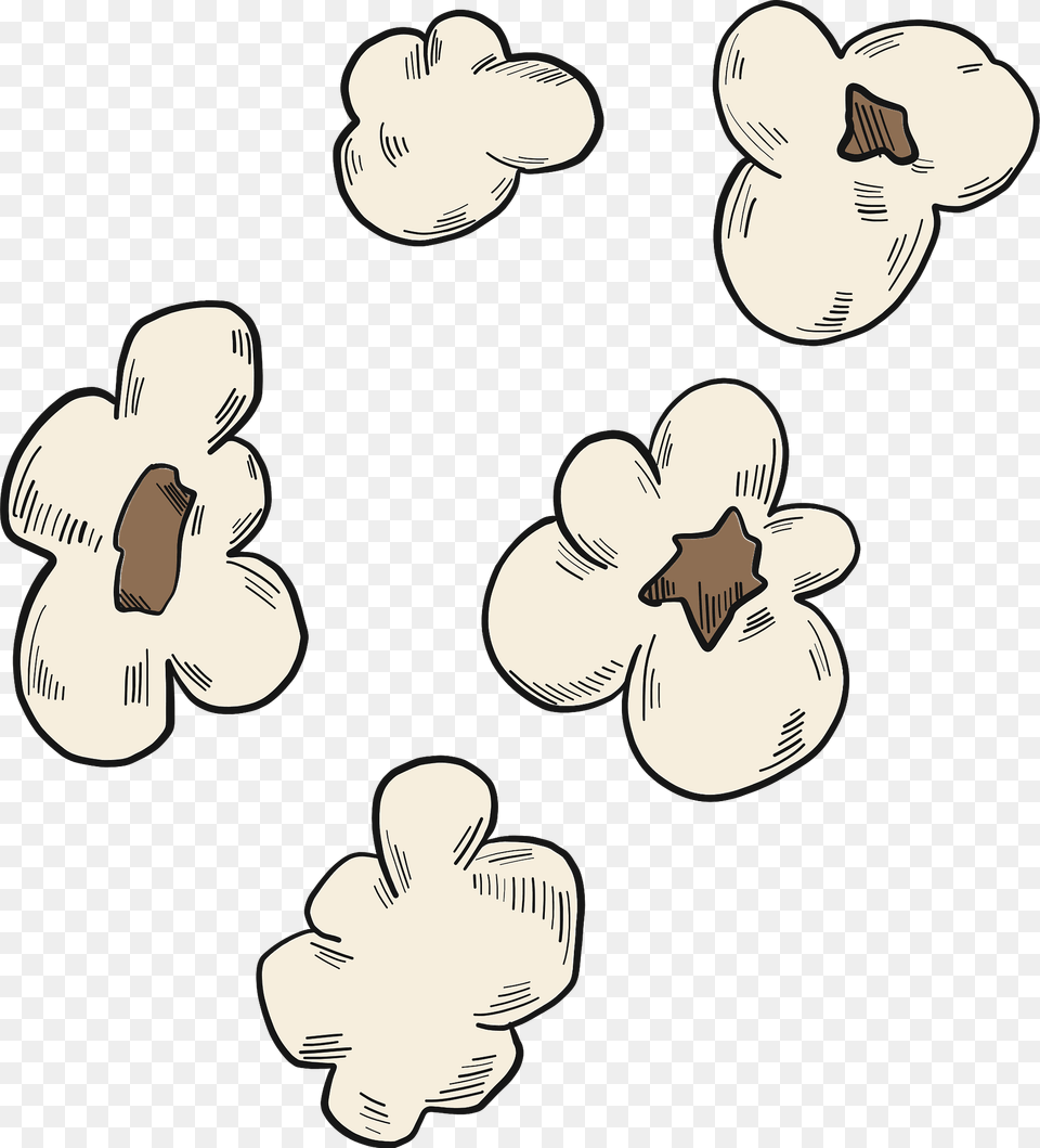 Popcorn Clipart, Flower, Plant, Baby, Person Free Png