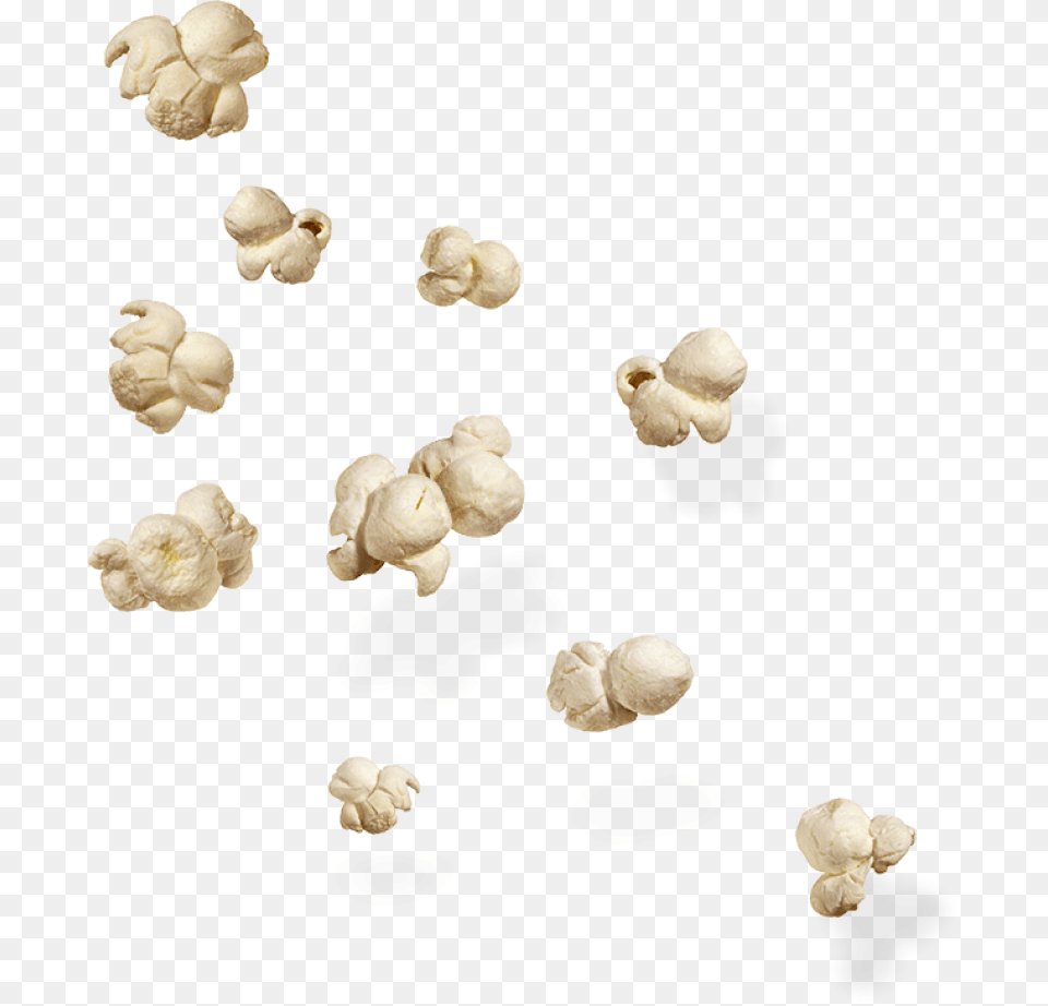 Popcorn Food, Fungus, Plant, Snack Png Image