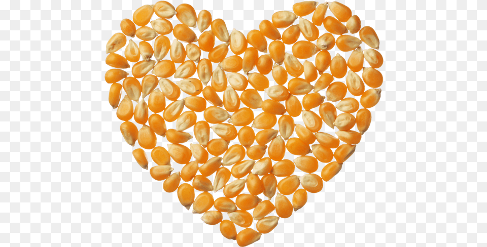 Popcorn Kernels Corn Heart, Food, Produce, Grain, Accessories Free Png