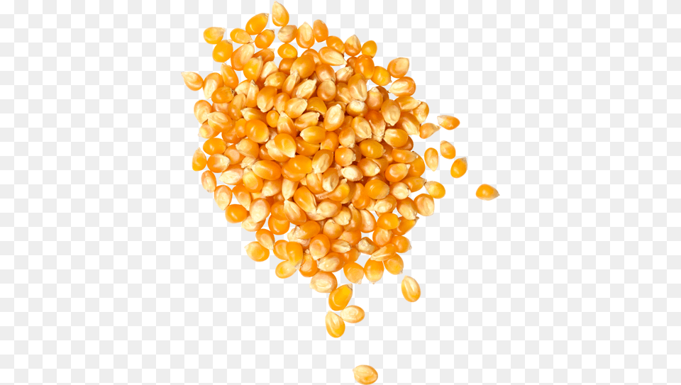 Popcorn Seeds Amp Oils Junk Food, Produce, Chandelier, Lamp, Grain Free Transparent Png