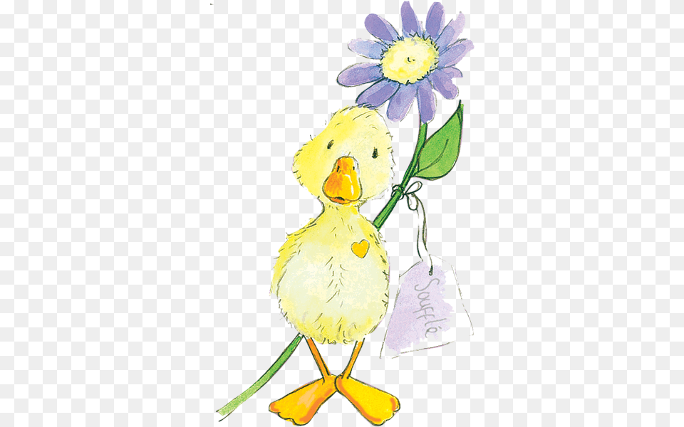 Popcorn The Bear Official Website Painting, Daisy, Flower, Plant, Animal Free Transparent Png