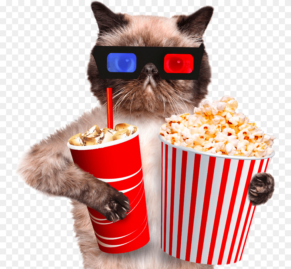 Popcorn Transparent Cat And Popcorn, Food, Snack, Animal, Mammal Png