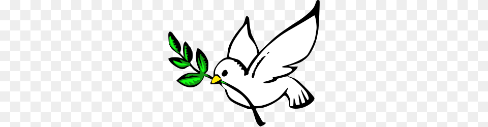 Pope Franics Catechism On The Gifts Of The Holy Spirit Begins, Leaf, Plant, Stencil, Animal Png
