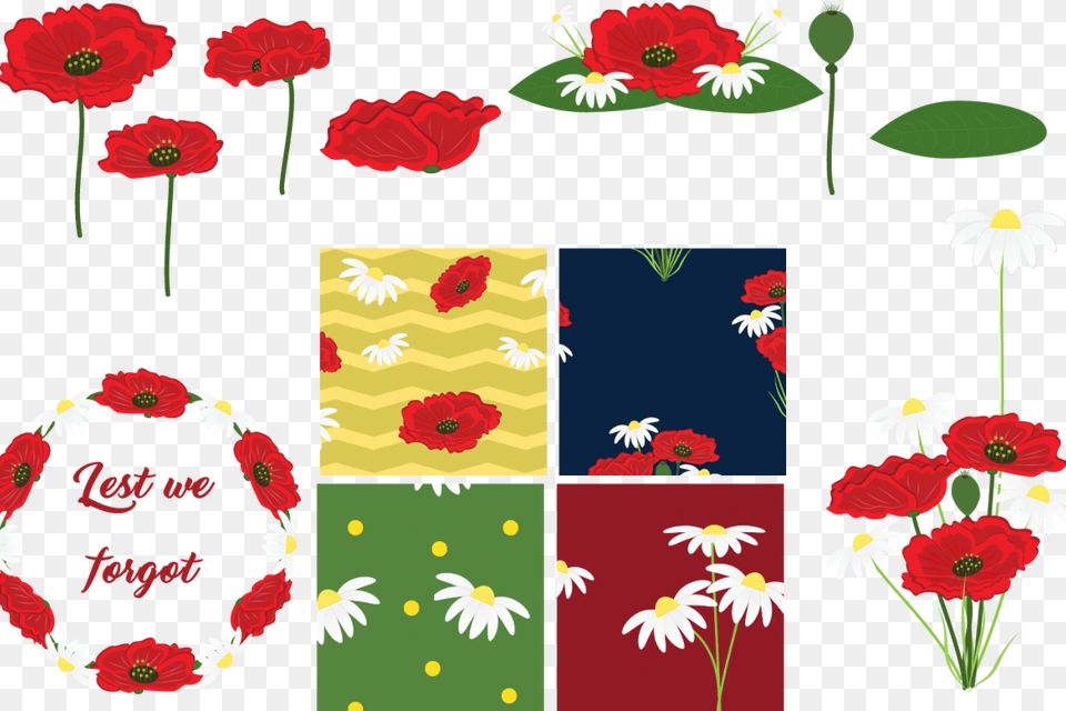 Poppies And Daisies Example Image Poppy, Flower, Plant, Daisy, Petal Free Png Download